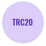 What is TRC20?